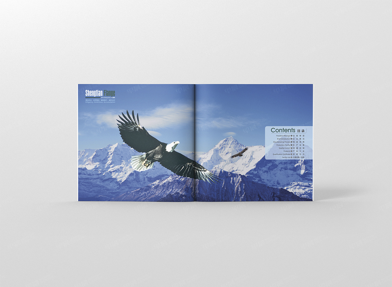 產品手冊設計,產品手冊制作,蘇州,南通,無錫,常州,泰州,張家港,江陰,太倉,昆山,常熟,靖江,如皋,宜興,盛天法蘭產品手冊設計,制作,公司 產品手冊設計,產品手冊制作,蘇州,南通,無錫,常州,泰州,張家港,江陰,太倉,昆山,常熟,靖江,如皋,宜興,盛天法蘭產品手冊設計,制作,公司