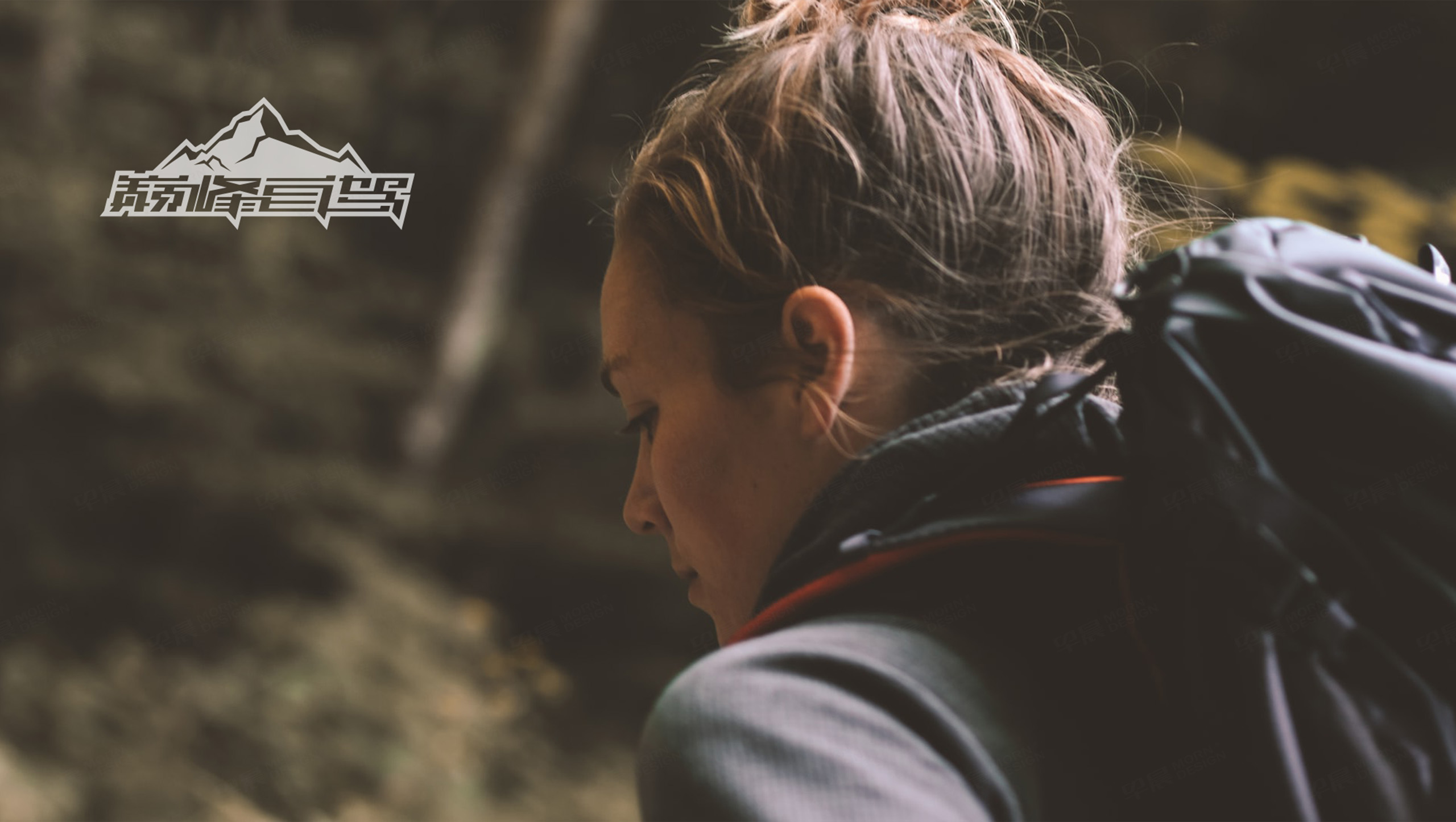 Logo設(shè)計(jì)公司,巔峰自駕,品牌Logo設(shè)計(jì),蘇州,無錫,常州,南通