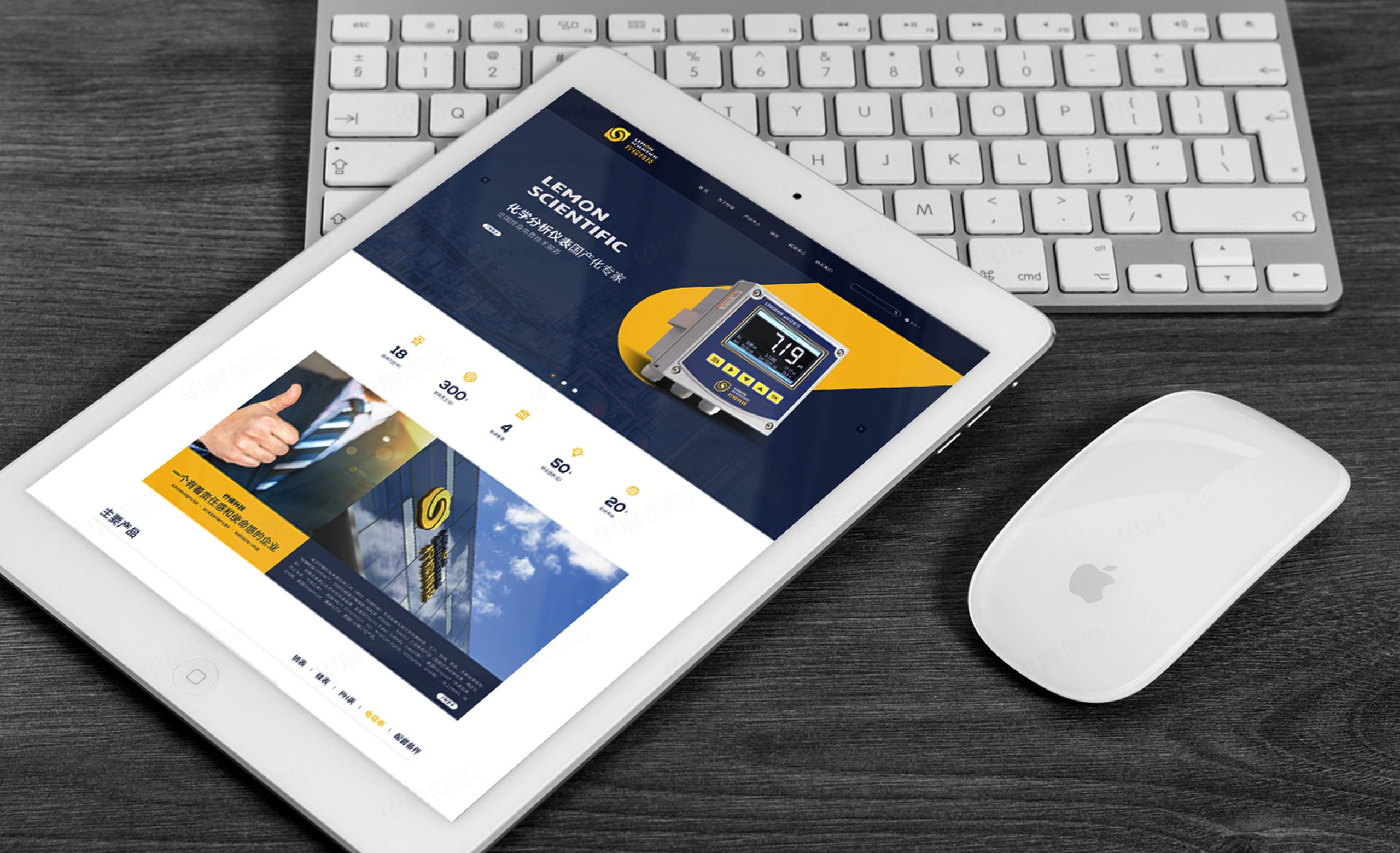 南京檸檬科技品牌logo設計,VI設計,,logo設計,標志設計,公司