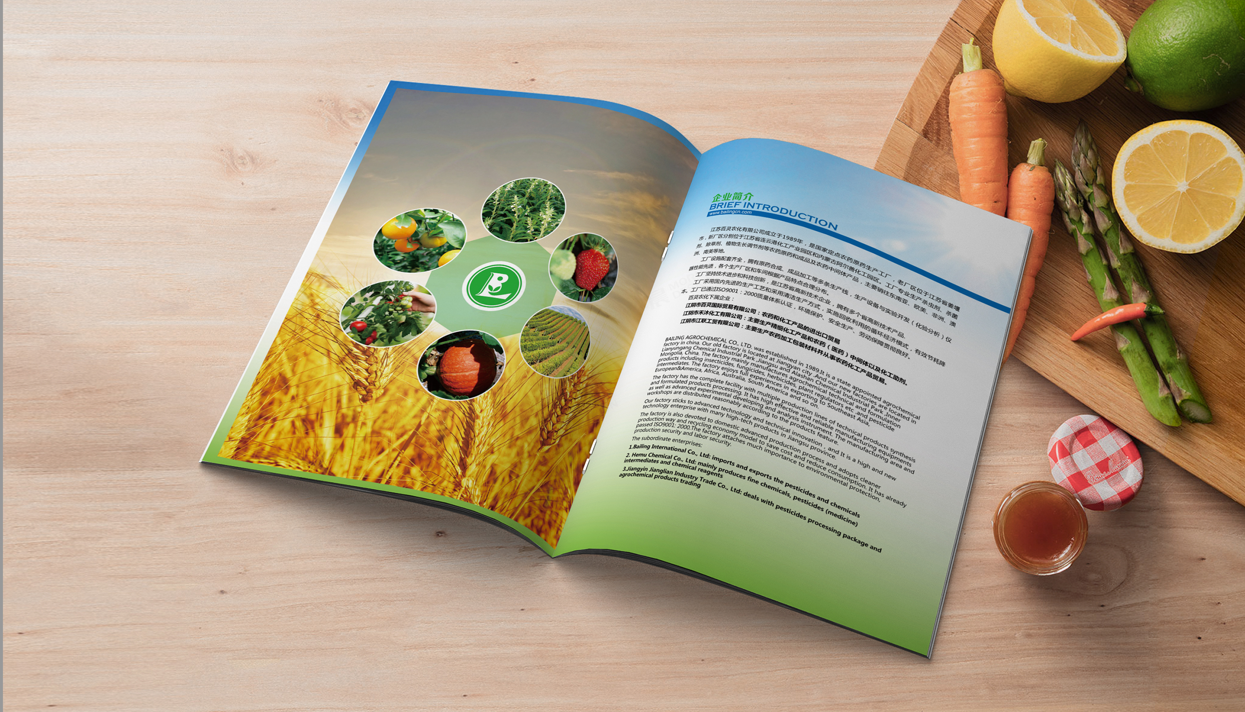 產(chǎn)品冊設(shè)計(jì),圖冊設(shè)計(jì),百靈農(nóng)化產(chǎn)品圖冊設(shè)計(jì),蘇州,無錫,常州,南通,泰州,張家港,江陰,太倉,昆山,常熟,產(chǎn)品圖冊設(shè)計(jì)制作,公司