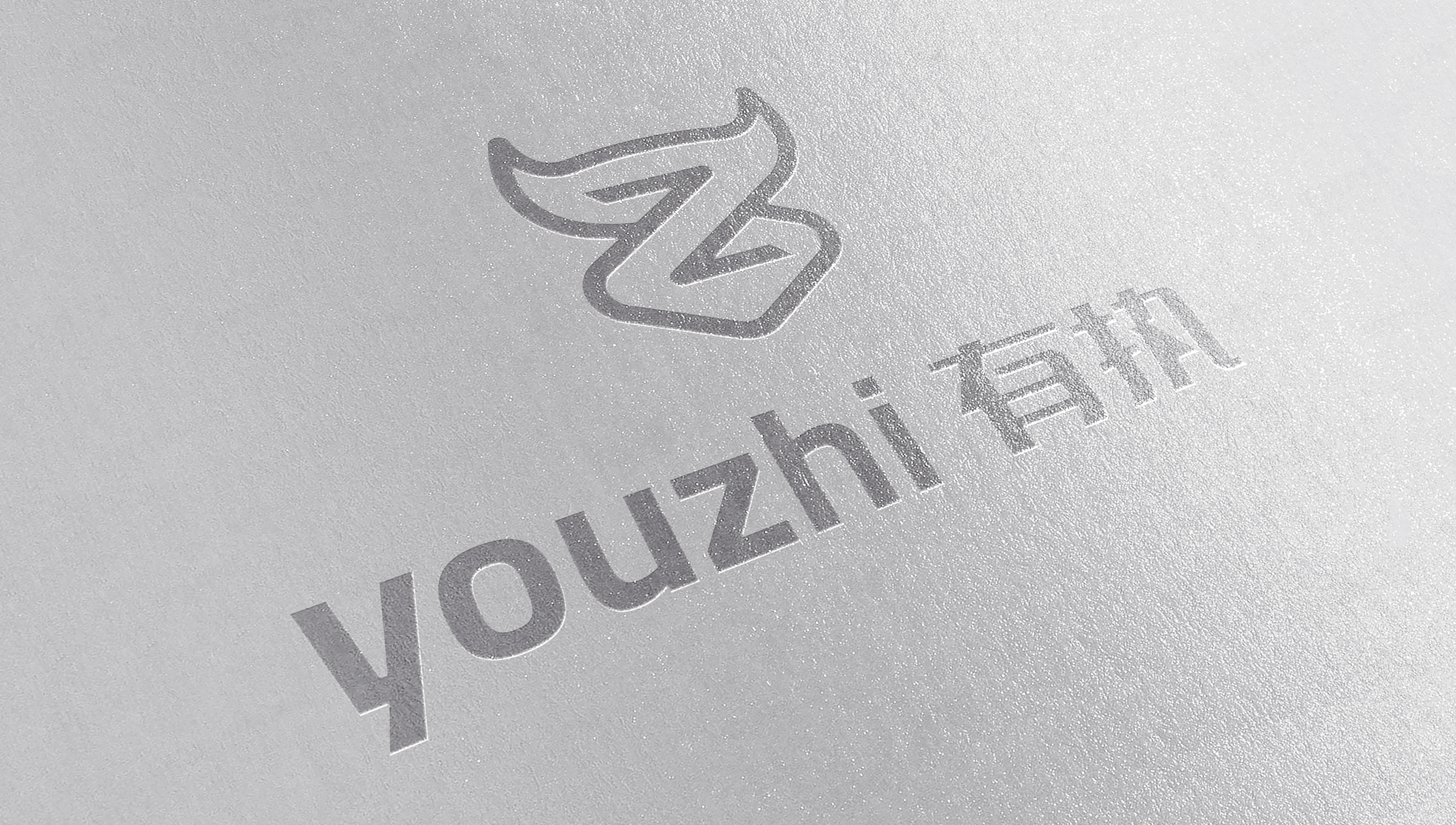 VI設計,LOGO設計,標志設計,品牌VI,有執,蘇州,無錫,常州,張家港,江陰,太倉,昆山,常熟,LOGO制作,VI制作,標志制作,設計公司,制作公司 