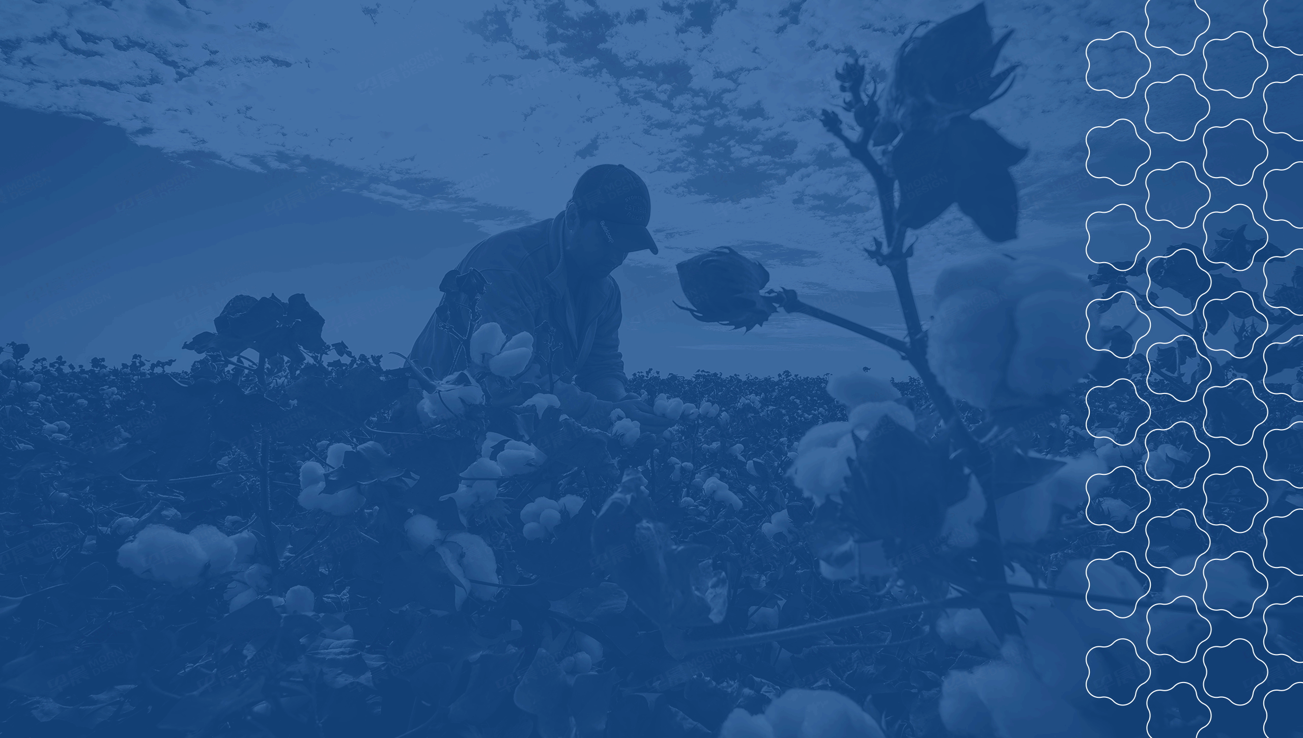 Logo設(shè)計(jì),易棉購(gòu)品牌VI設(shè)計(jì),蘇州,無錫,常州,南通,泰州,張家港,江陰,太倉(cāng),昆山,常熟,靖江,企業(yè)logo設(shè)計(jì),公司 Logo設(shè)計(jì),易棉購(gòu)品牌VI設(shè)計(jì),蘇州,無錫,常州,南通,泰州,張家港,江陰,太倉(cāng),昆山,常熟,靖江,企業(yè)logo設(shè)計(jì),公司