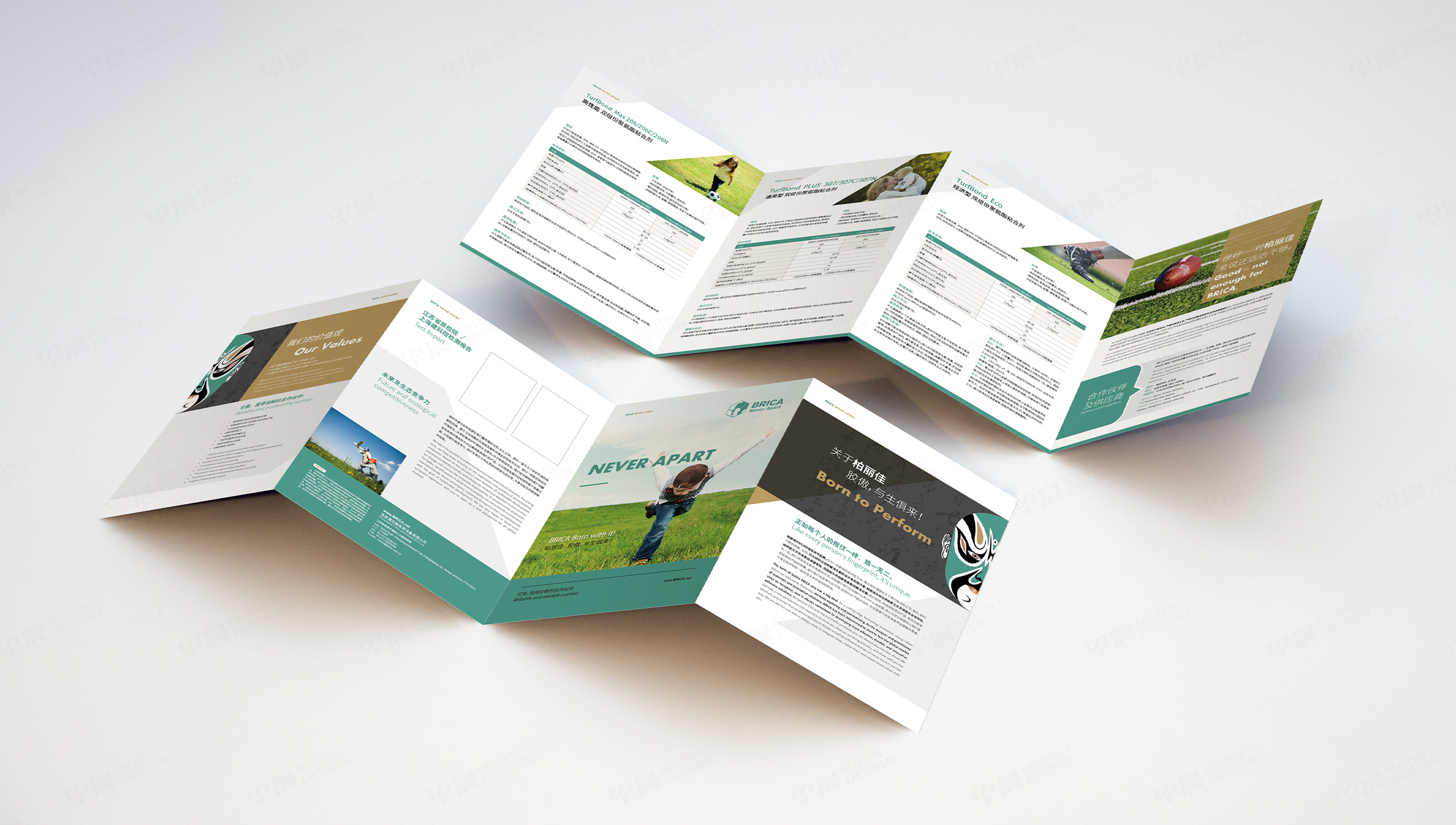 柏麗佳四折頁設計[宣傳頁設計]-早晨設計-蘇州,無錫,常州,南通,泰州,鎮江,南京,揚州,張家港,江陰,太倉,昆山,常熟,靖江的畫冊、宣傳冊設計公司