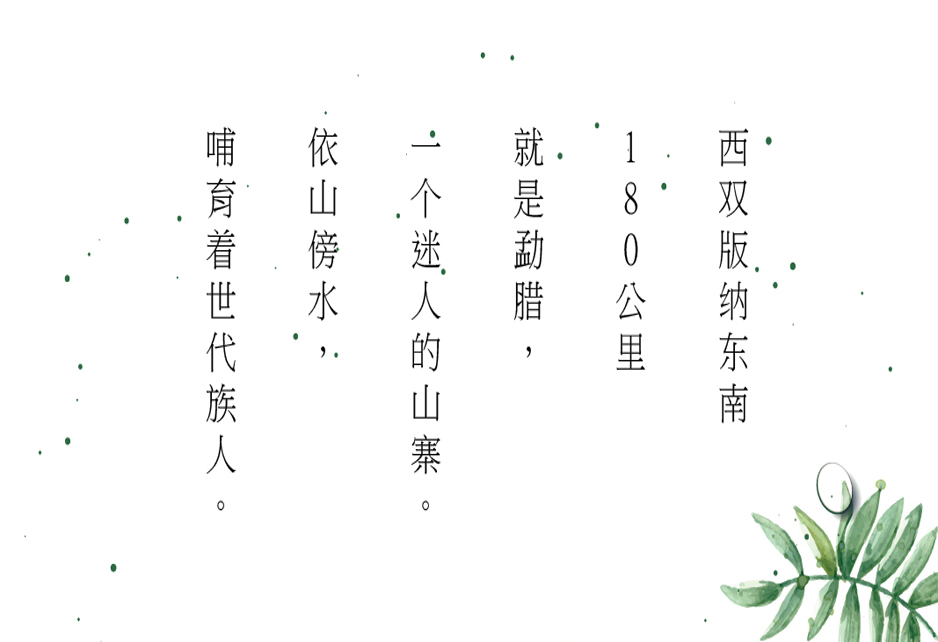 小蜜蜂蜜VI設計|張家港品牌策劃|品牌設計★張家港早晨設計★企業VI設計|企業策劃|形象設計|張家港Logo設計|標志設計|商標設計|字體設計|圖形設計