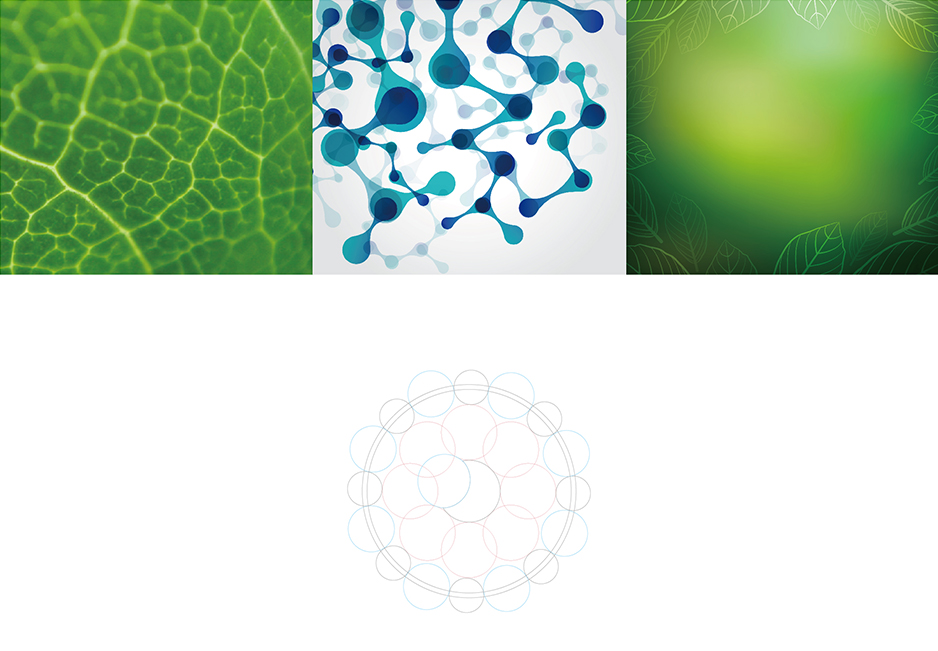 張根木生物科技logo設計,張家港品牌策劃,品牌設計★張家港早晨設計★企業VI設計,企業策劃,形象設計,張家港Logo設計,標志設計,張家港商標設計,字體設計,圖形設計