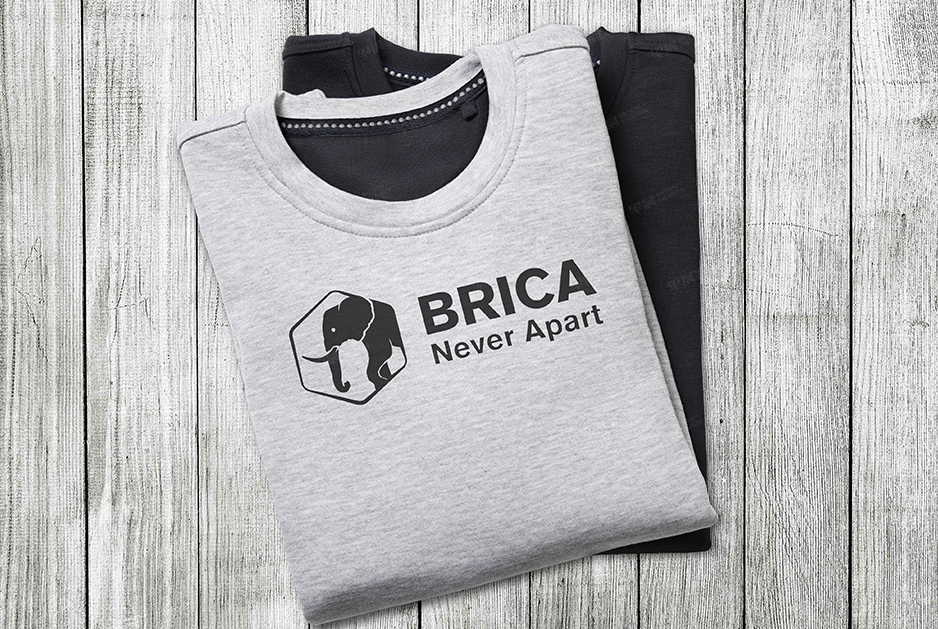 柏麗佳標志logo設計和VI設計,張家港,江陰,太倉,常熟,昆山,靖江,品牌策劃設計,VI設計,標志LOGO設計,公司