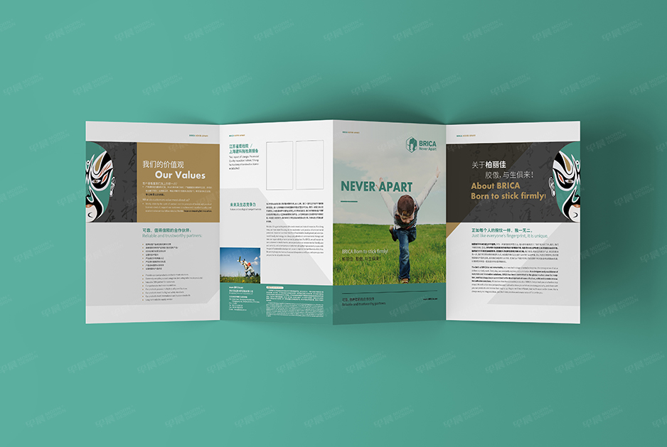 柏麗佳標志logo設計和VI設計,張家港,江陰,太倉,常熟,昆山,靖江,品牌策劃設計,VI設計,標志LOGO設計,公司