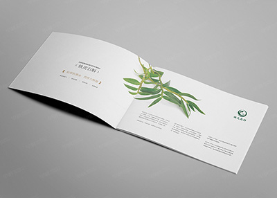 福元高科鐵皮石斛產(chǎn)品宣傳畫冊設(shè)計
