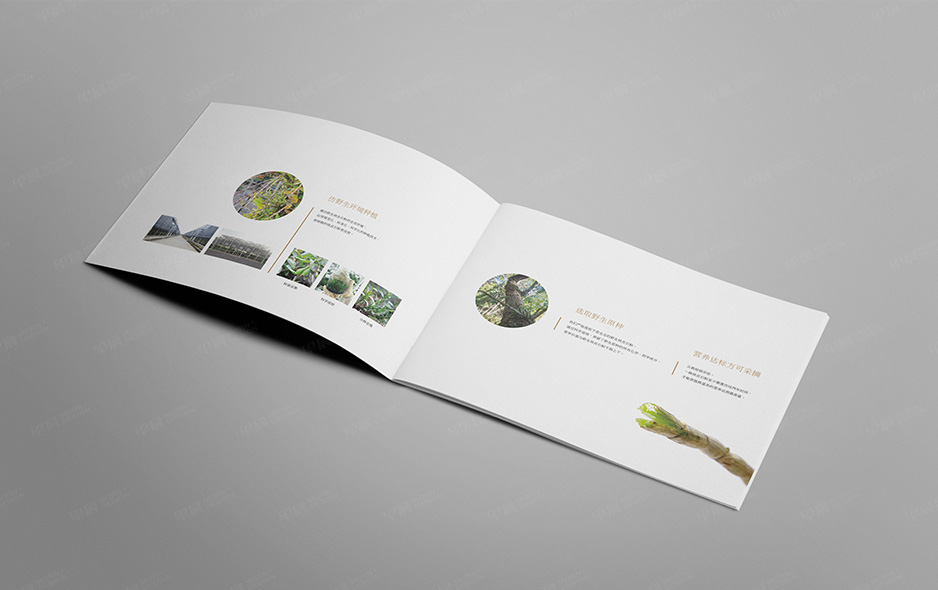 產品畫冊設計,福元高科鐵皮石斛產品宣傳畫冊設計,蘇州,無錫,常州,南通,泰州,張家港,江陰,太倉,昆山,常熟,靖江,產品宣傳畫冊設計,制作,公司