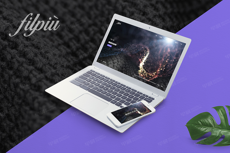 網(wǎng)站設(shè)計(jì),網(wǎng)站制作,菲利紡織網(wǎng)站設(shè)計(jì),高端網(wǎng)站設(shè)計(jì),制作,公司